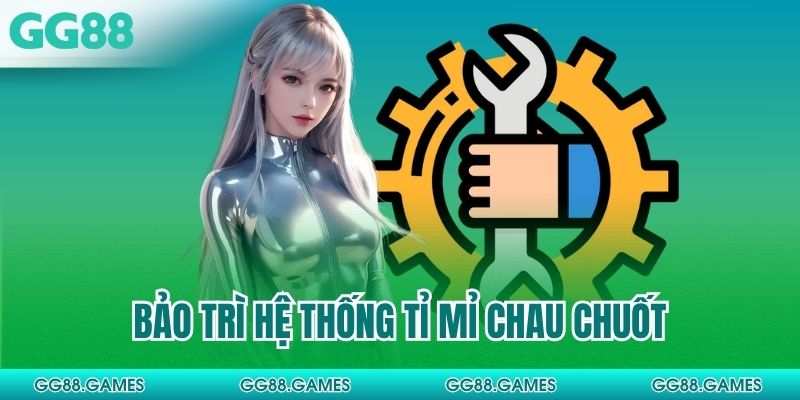 Bảo trì hệ thống tỉ mỉ chau chuốt