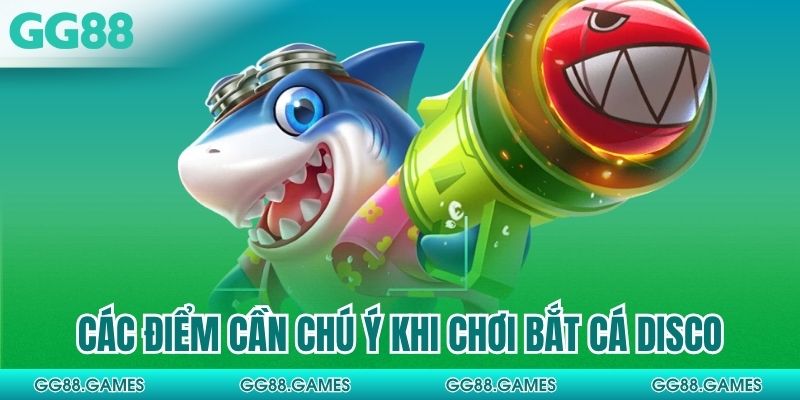 Các điểm cần chú ý khi chơi bắt cá disco