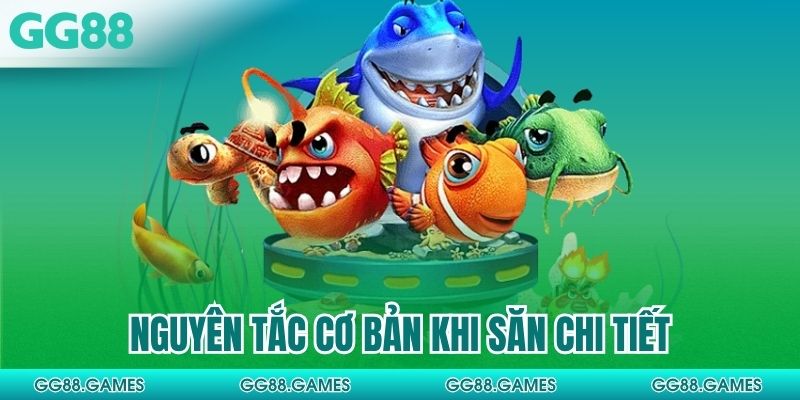 Nguyên tắc cơ bản khi săn chi tiết